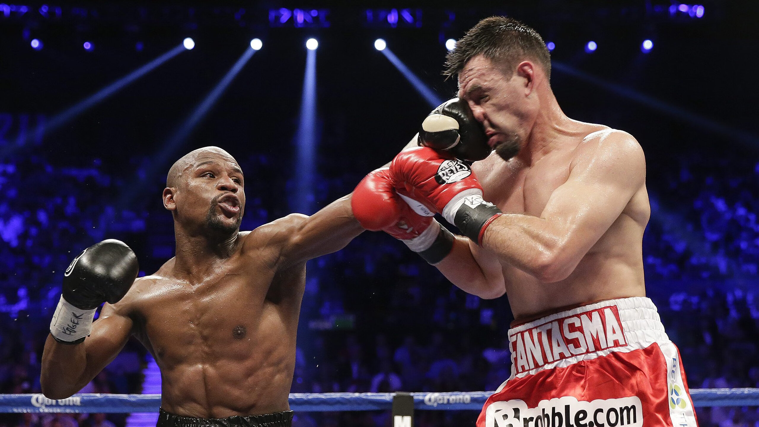 蛙泳选手状态回暖中立代表队A表现突出，蛙泳比赛出发视频