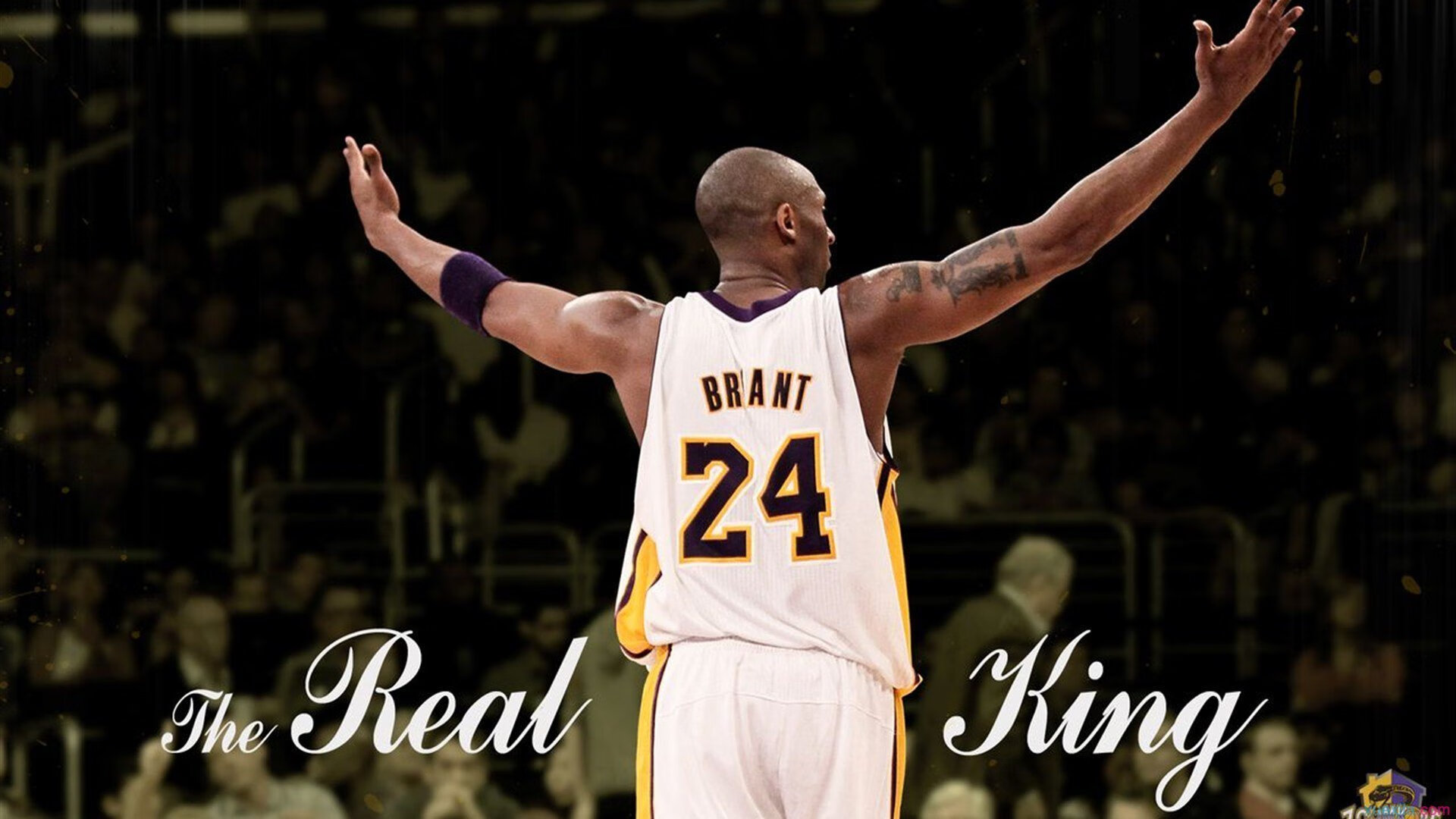 2024巴黎奥运场馆设计体现多功能性,2024巴黎奥运会新项目